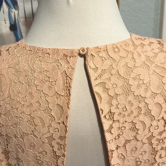 Revolve • Endless Rose Lace Feather Peplum Dress in Nude Pink • Sz L - Picture 8 of 10